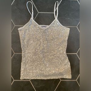 Express Sparkly Top